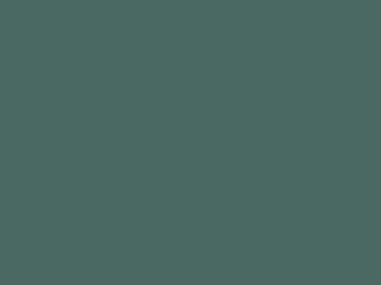 Laken Lind - Washed Bottle Green
