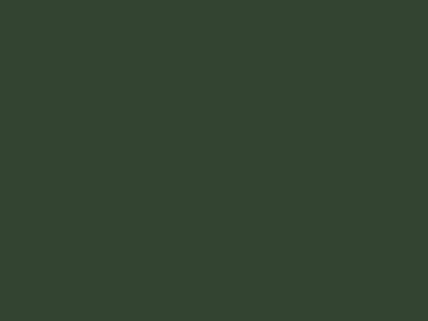 Spannbettlaken Lind - Forest Green