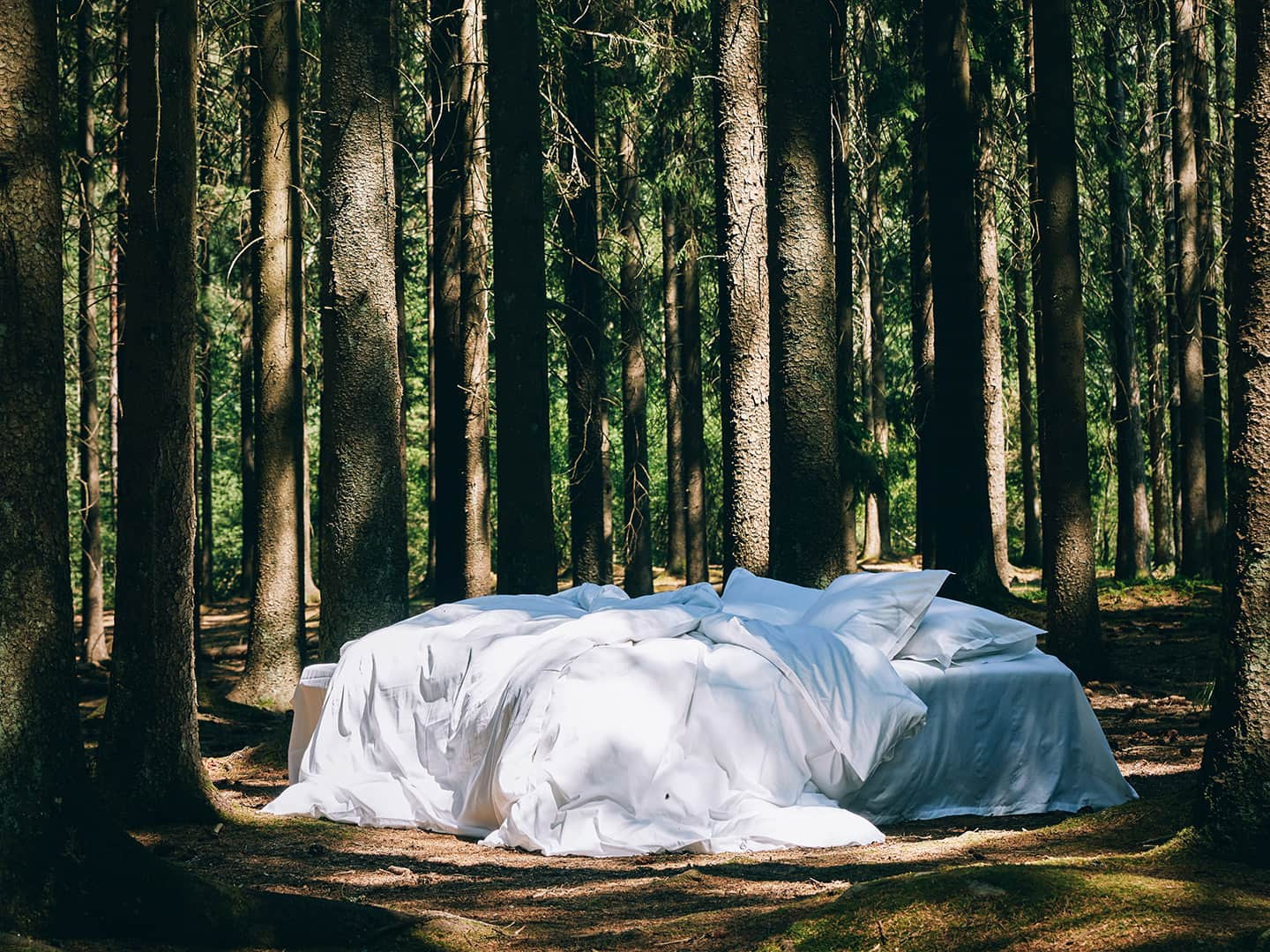 2er Set Bettwäscheset Vidd Cloud White (135x200)